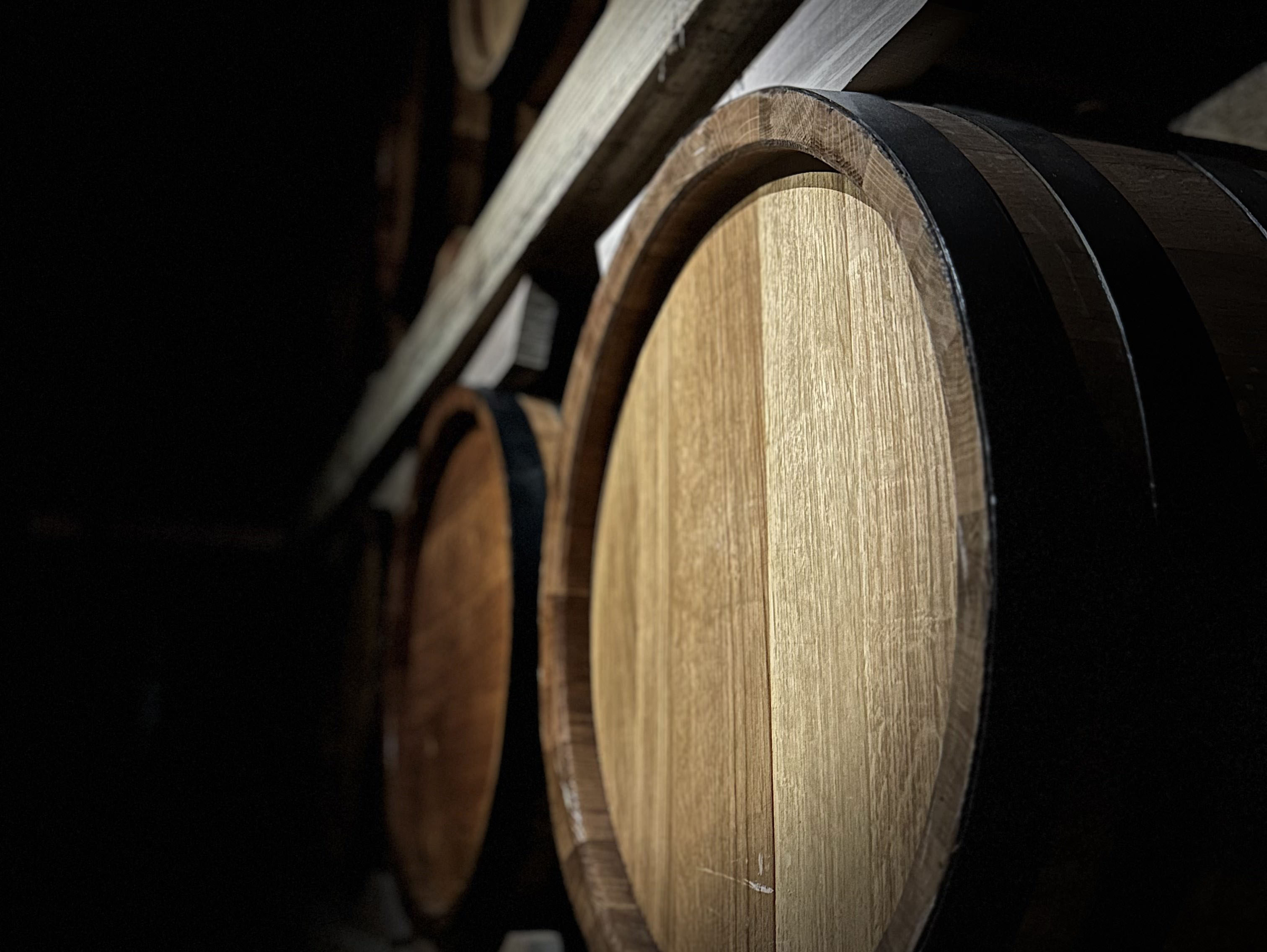 VINS hrastova burad 18+ meseci