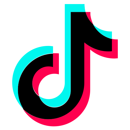 VINS TikTok