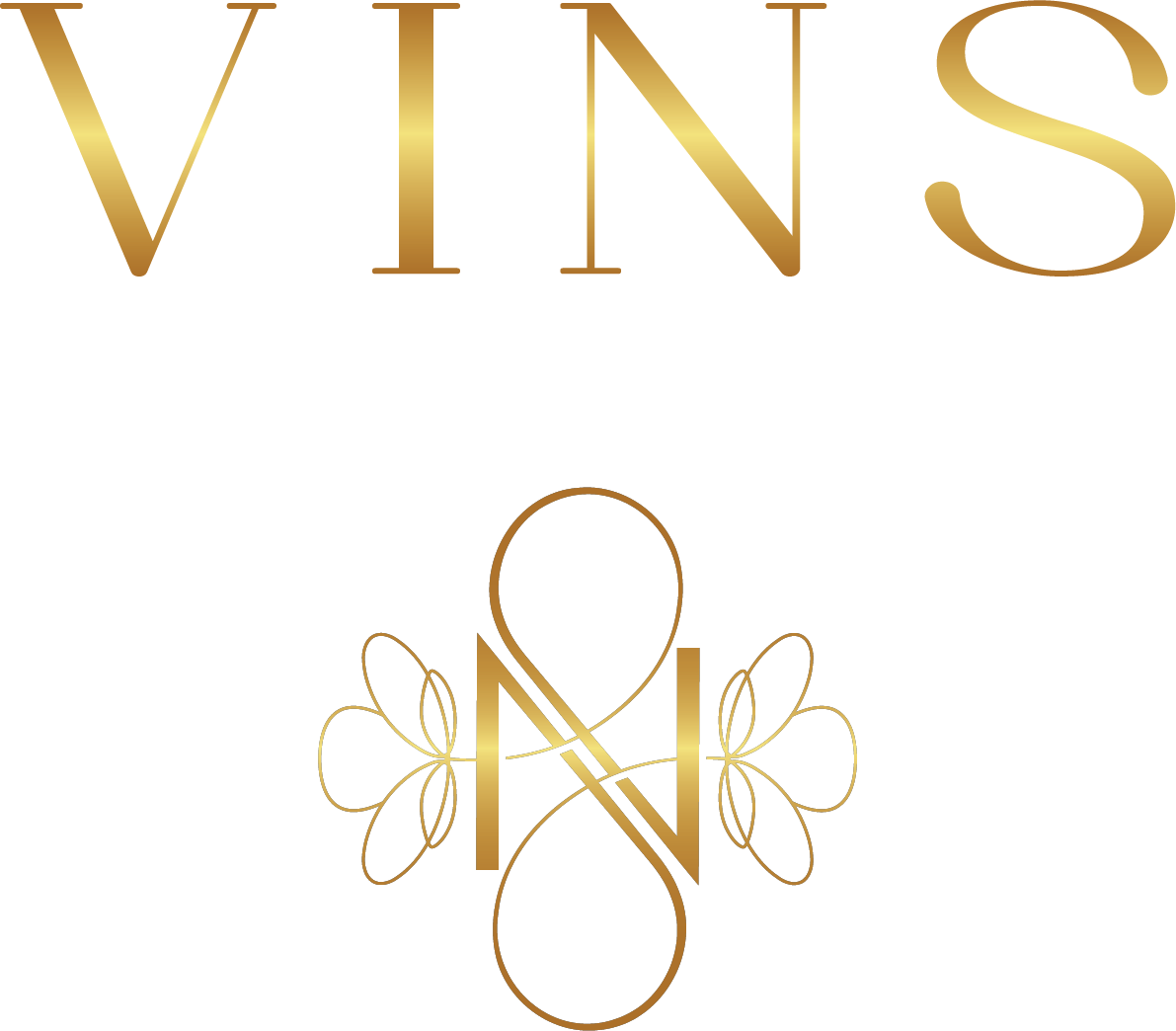 VINS logo transparent
