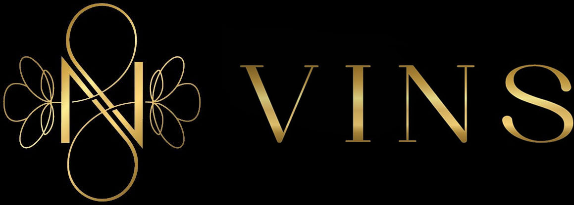 VINS vertical logo